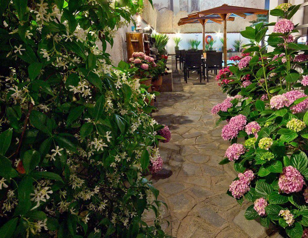 Hotel Pavlidis Thasos Extérieur photo